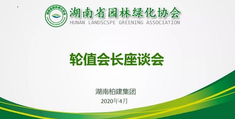 微信截图_20200417222556