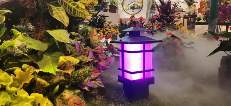 微信图片_20210530220645