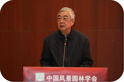 11c086d09fa84f79bb33c76de5a5b07f