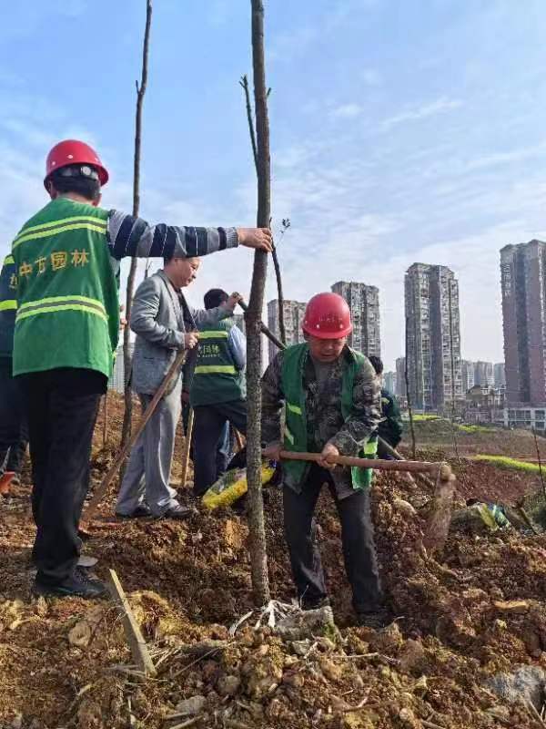 微信图片_20230320092511