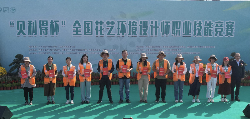 图片4