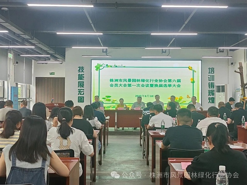 微信图片_20250618154719