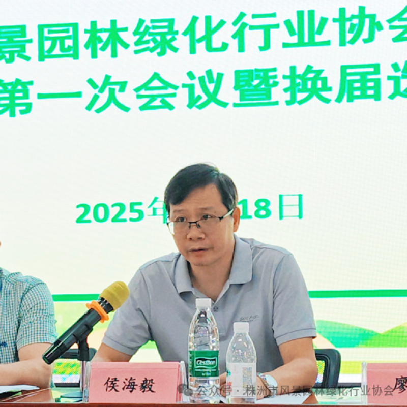 微信图片_20250618154827