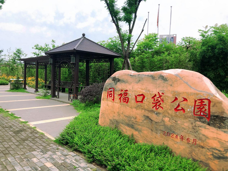 图片12