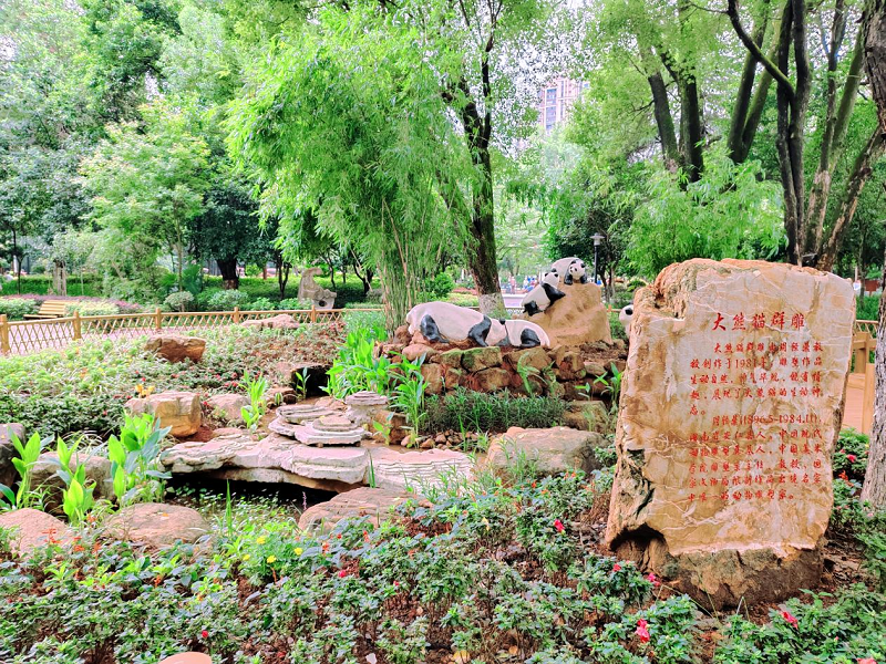 图片17