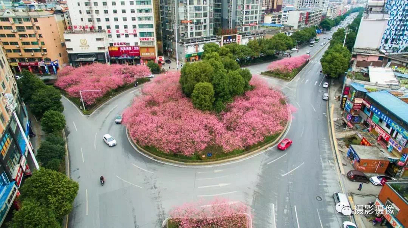 图片22