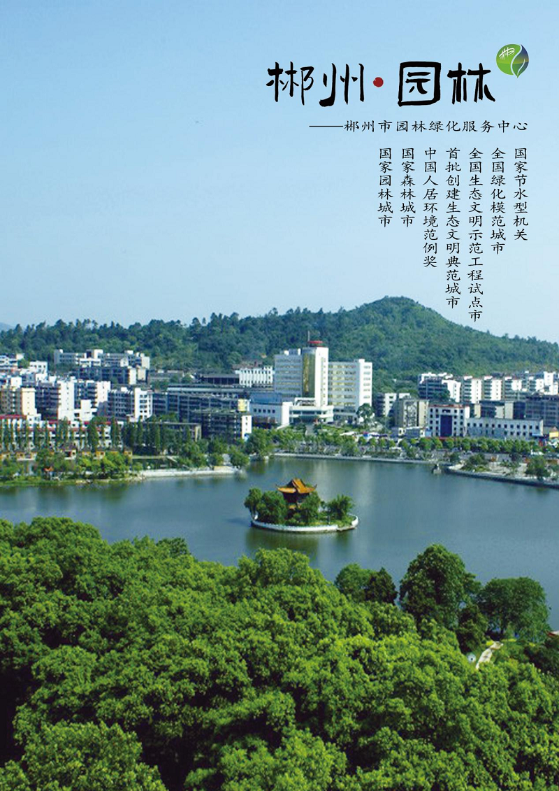 图片23
