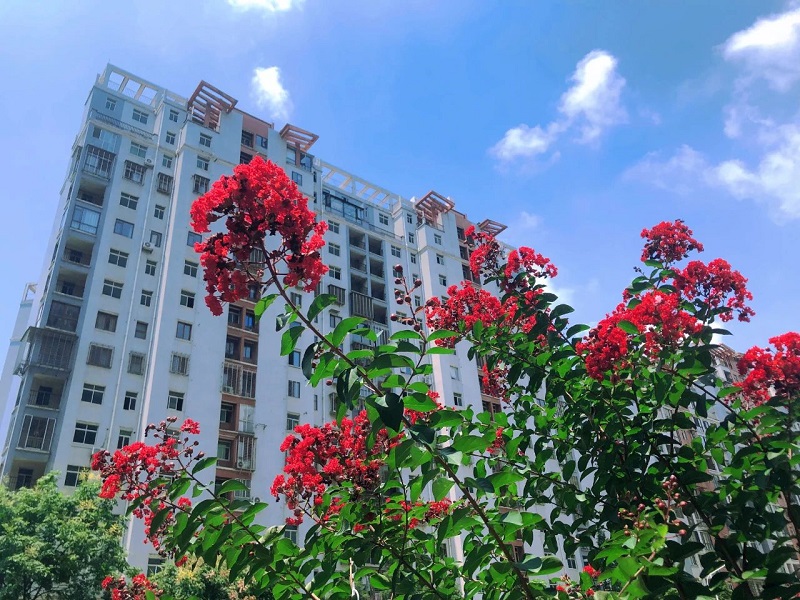 微信图片_2025-08-22_102340_627