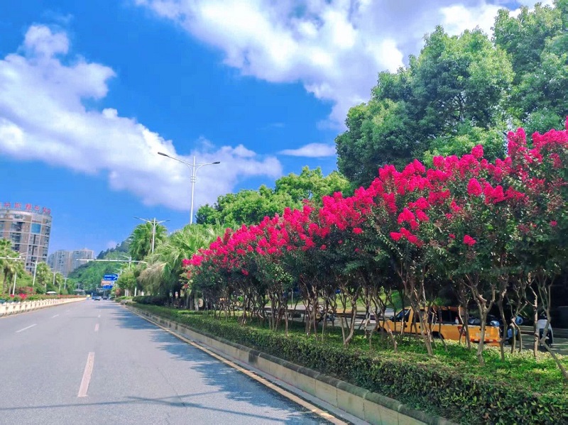 微信图片_2025-08-22_102351_937