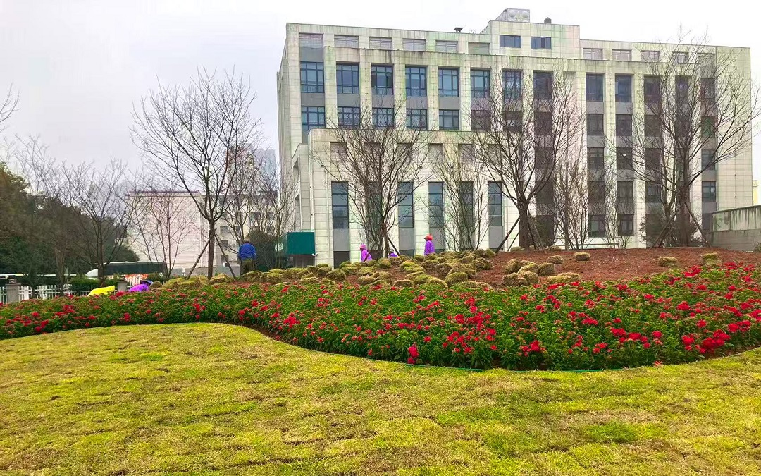 微信图片_20251216092224_122_6