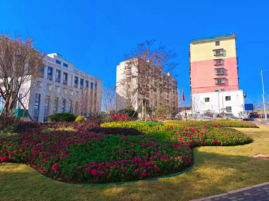 微信图片_20251216092251_130_6