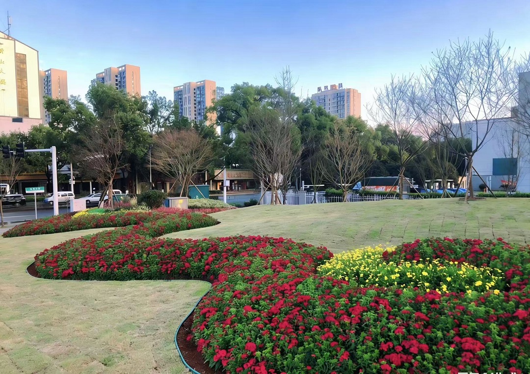 微信图片_20251217093042_151_6