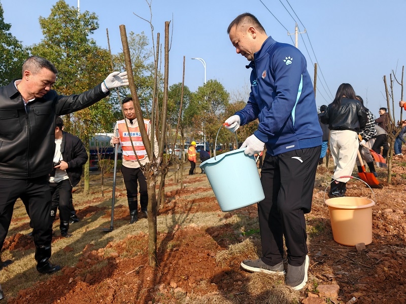 微信图片_20260313110639_53_13011112